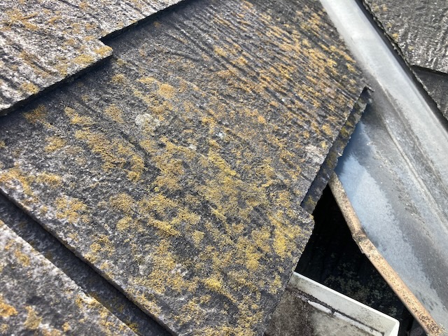 日進市で化粧スレート屋根の塗装見積依頼・苔が発生している屋根は排水機能が弱まっているサインです